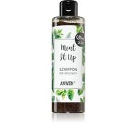 Anwen Mint It Up shampoing exfoliant 200 ml