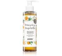 Anwen Orange & Bergamot shampoing pour cheveux normaux à gras 200 ml