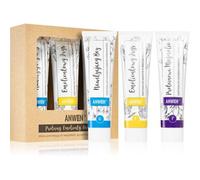 Anwen Proteins . Emollients . Humectants Après-Shampoing Traitant 3 X 100 Ml Medium Porosity (Conditionnement Avantageux) 3 X 100 Ml Medium Porosity
