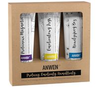 Anwen Set de 3 conditionneurs pour porosité moyenne, 100 ml
