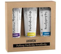 Anwen Set de 3 conditionneurs pour porosité moyenne, 100 ml