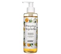Anwen Orange & Bergamot shampoing pour cheveux normaux à gras 200 ml