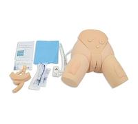 ANXYYDS Mannequin Masculin et féminin modèle de cathétérisme urinaire simulateur de Pratique infirmière Mannequin Interchangeable pour l'affichage d'étude modèle médical d'enseignement
