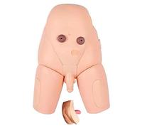 ANXYYDS Modèle de cathétérisme avancé, kit de simulateur de cathétérisme urétral, modèle de Soins Infirmiers interchangeables pour la Pratique médicale et l'enseignement des Soins Infirmiers