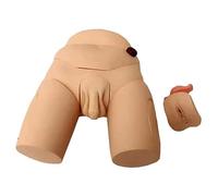ANXYYDS Modèle d'enseignement de cathétérisme urinaire Masculin et féminin, simulateur de Pratique infirmière pour l'anatomie du système reproducteur, Fournitures Scolaires de Soins Infirmiers