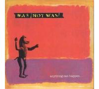 ANYTHING CAN HAPPEN CD UK FONTANA 1989 4 TRACK IN CARD SLEEVE B/W DEATH OF MR PING PONG, ONE WHITE CROW AND LAND OF THE FREE (WASCD5)