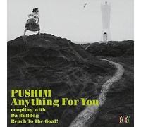 Anything for You [Import]