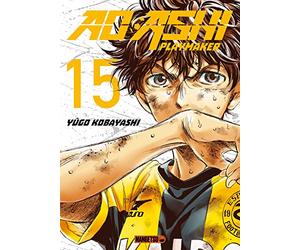 AO ASHI T15