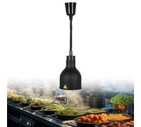 Aocay Lampe Chauffante Cuisine Professionnelle, Commercial Lampe Chauffante Alimentaire, Réglable Lampe Chauffe Plat Cuisine Buffet, Hauteur Réglable de 60-180cm, 250W(A-19cm,1)