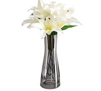 Aoderun Vase à fleurs pour décoration - Vase en verre transparent de 25,4 cm - Grand vase pour fleurs séchées - Décoration d'intérieur, salon, cuisine, bureau, mariage (gris)