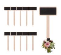AOEVUIR 10 Pcs étiquettes en bois pour plantes de jardin marqueurs de plantes de jardin avec stylo de marquage pour plantes d'intérieur et d'extérieur en pot, semences herbes fleurs légumes