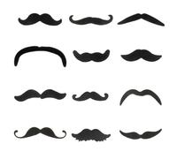 AOEVUIR 12 Pcs Fausses Moustaches Auto-adhésives Assorties pour déguisement x6 The Smarty The Rogue The Scoundrel The Casanova The Party Boy and The Bandit