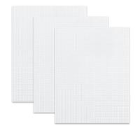 AOEVUIR 3 Pcs Feuilles de Toile en Maille Broderie À Canevas Plastique Blanc pour Bricolage Artisanat Broderie Crafting Point de Croix Tapisserie Coaster 30 * 20cm