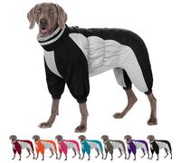 AOFITEE Manteau imperméable pour Chien