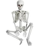 AOFOX 165 cm Halloween Taille réelle Squelette Corps Entier os avec articulations Amovibles Party Prop Horreur cimetière Maison hantée pelouse Cour décoration (165cm)