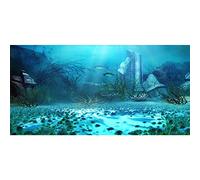 Aoihraan 2,2x1m Fond du Monde sous Marin Aquarium Plantes Aquatiques Poissons Abandonnés Palais Antique Fond Photographique Sirène Thème Fête d'anniversaire Bannière Aquarium Décoration Photothèque