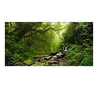 Aoihraan 2,2x1m Fond Forêt Tropicale Route Pierre Mousse Arbre Ensoleillé Forêt Tropicale Jungle Nature Paysage Photographie Fond Camping Randonnée Aventure Fille Garçon Adulte Portrait Photo Prop