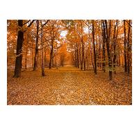 Aoihrraan 1,5x1m Automne Forêt Photographie Toile de Fond Or Jaune Bois Chemin Erable Feuilles Automne Nature Scène Fond Thanksgiving Fête Décor Extérieur Voyage Randonnée Portrait Photo Props