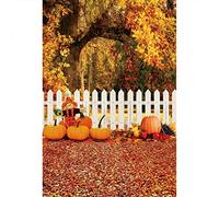 Aoihrraan 1,5x2,2m Automne Thanksgiving Photographie Toile De Fond Citrouille Épouvantail Clôture Érable Feuilles Automne Nature Scène Fond Thanksgiving Moisson Fête Famille Portrait Photo Prop