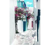 Aoihrraan 1,5x2,2m Grèce Rue Toile De Fond Printemps Fleurs Rue Étroite Méditerranéenne Style Architecture Photographie Fond Mariage Décor Enfants Adultes Voyage Portrait Photo Studio Accessoires