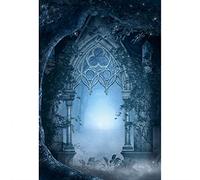 Aoihrraan 1,8x2,7m Enchanté Forêt Photographie Toile De Fond Conte De Fées Château Vintage Arche Porte Magie Pays des Merveilles Fond Filles Petite Princesse Anniversaire Fête Art Portrait Photo Prop