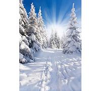 Aoihrraan 1x1,5m Hiver Pays des Merveilles Toile De Fond Pin Arbres Neige Bois Soleil Champ De Neige Paysage Photographie Fond Noël Nouvel an Famille Vacances Extérieur Fête Portrait Photo Prop.