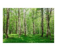 Aoihrraan 2,2x1,5m Forêt Paysage Toile De Fond Vert Bois Prairie Nature Paysage Photographie Fond Été Vacances Voyage Camping Vacances Fête Mariage Portrait Fond D'Écran Photo Studio Accessoires