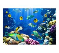Aoihrraan 2,2x1,5m sous l'eau Monde Toile de Fond Aquarium Fonds Marins Corail Poissons Bleu Océan Photographie Fond Été Camp Plongée Fête Enfants Anniversaire Gâteau Table Photo Studio Accessoires