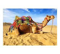 Aoihrraan 2,7x1,8m Désert Chameau Toile de Fond Far West Désert Bleu Ciel Paysage Naturel Photographie Fond Western Voyage Shoots Baby Shower Decor Cowboys Enfants Adultes Portrait Photo Studio Props