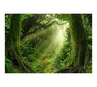 Aoihrraan 2,7x1,8m Printemps Enchanté Forêt Toile de Fond Jungle Forêt Tropicale Vieux Arbres Soleil Naturel Paysage Photographie Arrière-Plan Bébé Douche Anniversaire Fête Enfant Adulte Photo Prop