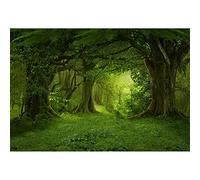Aoihrraan 2,7x1,8m Printemps Enchanté Forêt Toile de Fond Tropical Forêt Tropicale Jungle Vieux Arbres Vert Prairie Photographie Fond Bébé Douche Kid Anniversaire Parti Mariage Portrait Photo Prop