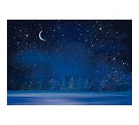 Aoihrraan 2,7x1,8m Romantique Nuit Étoiles Toile De Fond Forêt Soirée Bleu Foncé Étoilé Ciel Espace Lune Photographie Bébé Douche Annoncer Grossesse Anniversaire Fête Enfants Portrait Studio Photo