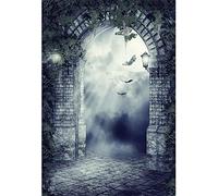 Aoihrraan 2x3m Halloween Toile De Fond Château Pierre Arche Pleine Lune Chauve-Souris Feuilles Lugubre Gothique Bâtiment Photographie Fond Horreur Thème Fête Enfants Adultes Portrait Photo Props