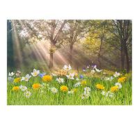 Aoihrraan 3,5x2,5m Printemps Paysage Toile de Fond Fleurs Vert Herbe Soleil Forêt Nature Paysage Photographie Fond Bébé Douche Extérieur Fête Décor Enfants Adultes Portrait Photo Studio Accessoires