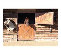 Aoihrraan 3x2,5m Écurie Occidentale Toile De Fond Minable Sauvage Ouest Bois Maison du Cheval Scène De Soleil Photographie Cowboy Fête Décoration Filles Garçons Artistique Portrait Photo Vinyle