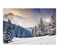 Aoihrraan 3x2,5m Hiver Forêt Toile De Fond Couverte Neige Sapin Pine Champ Neige Paysage Montagne Enneigée Photographie Fête Noël Nouvel an Enfants Ados Adulte Portrait Accessoires Studio Photo