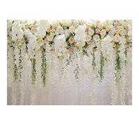 Aoihrraan 3x2,5m Mariage Toile De Fond Blanche Floraison Fleurs Vert Glycine Rose Floral Mur Photographie Douche Nuptiale Proposition Cradle Cérémonie Fête Mères Dame Portrait Studio Photo Vinyle