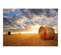 Aoihrraan 3x2,5m Rural Terres Agricoles Toile De Fond Golden Champ Agriculture Paille Balles Coucher De Soleil Automne Récolte Photographie Fond Western Cowboy Fête Action De Grâces Vidéo Photo Prop