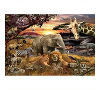 Aoihrraan 3x2,5m Terre Boisée Jungle Animaux Toile De Fond Été Tropical Désert Africain Forêt Réaliste Animaux Scénique Photographie Garçon Anniversaire Fête Enfant Portrait Accessoire Studio Photo