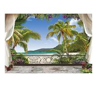 Aoihrraan 3x2m Balcon Plage Tropicale Toile De Fond Été Océan Bord Mer Tulle Blanc Paysage L'Île Palmier Fleurs Paysage Marin Photographie Mariage Vacance Fête Mariée Douche Portrait Studio Photo