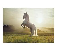 Aoihrraan 3x2m Cheval Blanc Toile De Fond Occidental Prairie Fée Cow Boy Cheval Pays des Merveilles De Nature Photographie Extérieur Voyager Cowboy Anniversaire Fête Garçons Adultes Portrait Photo