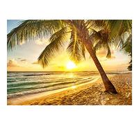 Aoihrraan 3x2m Été Tropical Plage Toile De Fond Palmiers Arbres Bord De Mer Coucher De Soleil Océan Paysage Photographie Fond Été Camp Mariage Vidéo Fête Décor Enfants Adultes Portrait Photo Prop.