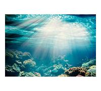 Aoihrraan 3x2m Monde sous Marin Toile De Fond Scène Marins Corail Récif Poissons Ensoleillement sous Marin Seaview Photographie Décoration D'Aquarium Fish Tank Fête Thème Mer Portrait Studio Photo