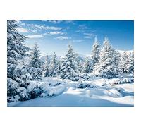 Aoihrraan 3x2m Neige Paysage Toile de Fond Pin Arbre Blanc Snowland Winter Wonderland Photographie Fond Famille Extérieur Fête Décor Bannière Enfants Adultes Art Portrait Photo Studio Props