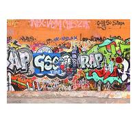Aoihrraan 3x2m Urbain Rue Graffiti Mur Toile De Fond Colorée Huile Peinture 80'S 90'S Hip Hop Style Photographie Fond Retro Concert Parti Western Cow-Boy Artistique Portrait Photo Accessoires
