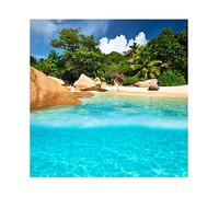 Aoihrraan 3x3m Été Tropical Plage Toile De Fond Bord De Mer Jungle Forêt Bleu Océan Nature Paysage Photographie Fond Mariage Été Camp Plongée Fête Enfants Adultes Portrait Photo Props