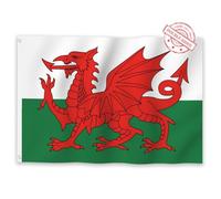 Aoihrraan Drapeau Du Pays De Galles 80x120cm Double Face Rouge Vif Dragon Drapeau Extérieur Célébration Porche Décoration Drapeau 2 Solides Oeillets Précision