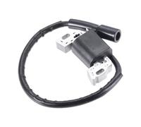 AOIUU Convient for Briggs & Stratton 592841 595038 594626 595304 799650 795315 Armature de Bobine d'allumage de Moteur-Module magnétique 594626 594456