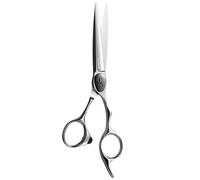 AOLANDUO Ciseaux de coupe de cheveux (6 pouces) - EXTRÊMEMENT AFFÛTÉS - Design décalé utilisant l'acier inoxydable japonais VG10 pour les barbiers et les coiffeurs de salon.
