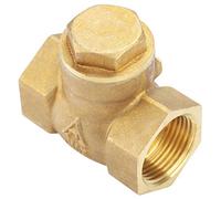 Aolidsive Clapet Anti-retour en Laiton à Connexion Filetée, Haute Résistance et durabilité, Empêche le Reflux et la Libération des Médias, Idéal pour les Systèmes d'eau et les Installations de (DN20)